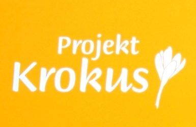 KROKUS 2023 24